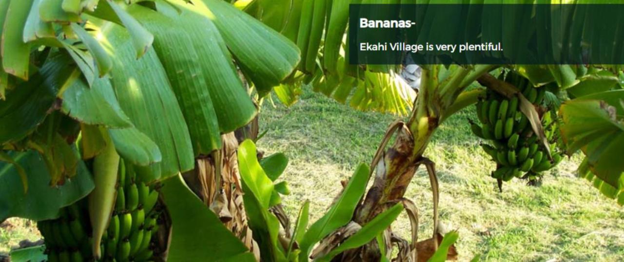 9B Ekahi Village-Studio Bath, Garden View - 1 Minute Stroll To Beach! Уэйлея Экстерьер фото